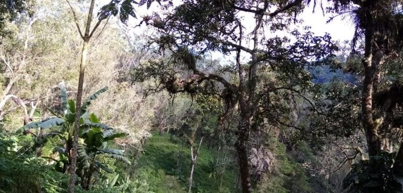 TERRENO EN VENTA EN MUXBAL — Terreno en Venta en Muxbal, Guatemala, Ciudad — foto 1 de 3