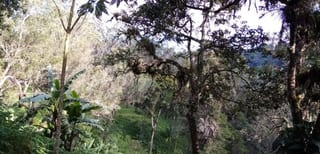 TERRENO EN VENTA EN MUXBAL — Terreno en Venta en Muxbal, Guatemala, Ciudad — miniatura 1 de 3