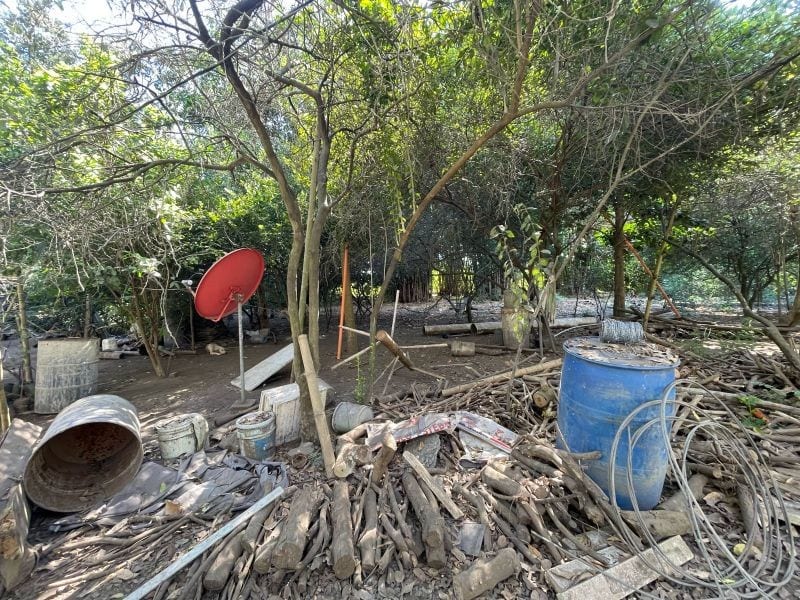 VENDO TERRENO CON PRODUCCION DE BAMBÚ EN PUERTO SAN JOSE — Terreno en Venta en Puerto San José, Escuintla — foto 3 de 13