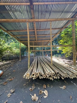 VENDO TERRENO CON PRODUCCION DE BAMBÚ EN PUERTO SAN JOSE — Terreno en Venta en Puerto San José, Escuintla — miniatura 5 de 13