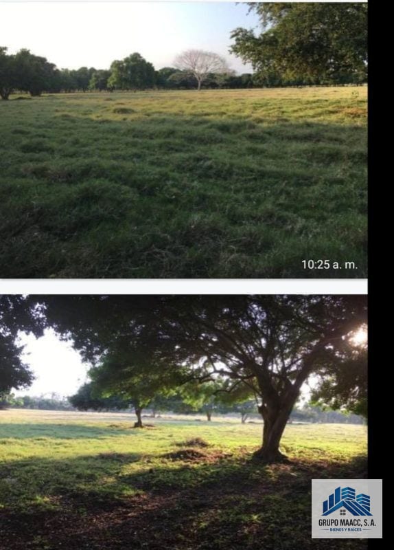 Vendo Finaca en Sipacate Escuintla — Finca en Venta en Sipacate, Escuintla — foto 5 de 6