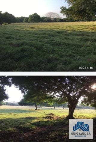 Vendo Finaca en Sipacate Escuintla — Finca en Venta en Sipacate, Escuintla — miniatura 1 de 6