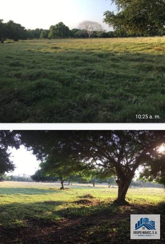 Vendo Finaca en Sipacate Escuintla — Finca en Venta en Sipacate, Escuintla — foto 1 de 6