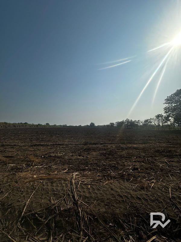 Vendo terreno en antigua carretera Puerto de San José a orilla de carretera — Terreno en Venta en Puerto San José, Escuintla — foto 8 de 8
