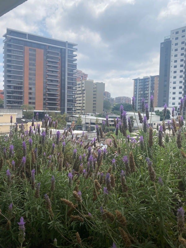 APARTAMENTO EN VENTA EN ZONA 14 — Apartamento en Venta en Casa Alta, Zona 14, Guatemala, Ciudad — foto 1 de 4