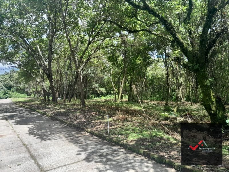 Terreno en Venta en Carretera a el Salvador Condominio Casa y Campo Inmediato a la Vas KM 23.5 — Terreno en Venta en Carretera a El Salvador, Guatemala, Ciudad — foto 8 de 9