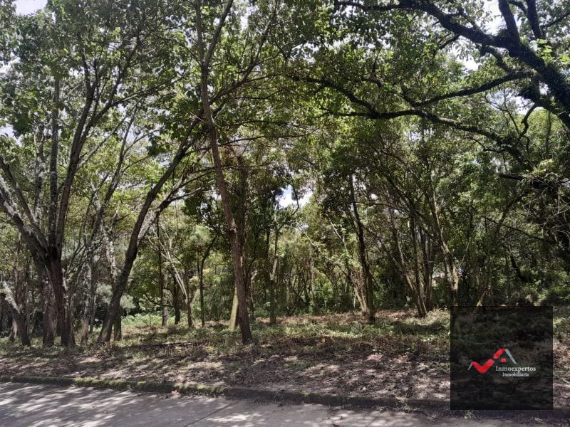 Terreno en Venta en Carretera a el Salvador Condominio Casa y Campo Inmediato a la Vas KM 23.5 — Terreno en Venta en Carretera a El Salvador, Guatemala, Ciudad — foto 6 de 9