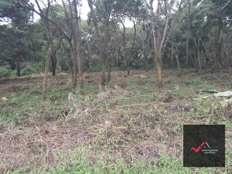 Terreno en Venta en Carretera a el Salvador Condominio Casa y Campo Inmediato a la Vas KM 23.5 — Terreno en Venta en Carretera a El Salvador, Guatemala, Ciudad — foto 7 de 9