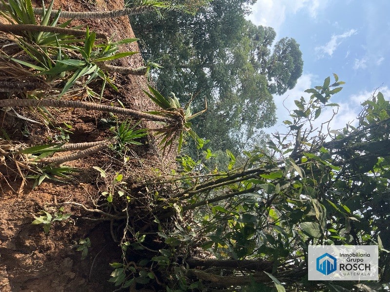 Terreno en Aldea El Rosario — Terreno en Venta en Cento, Santa Catarina Pinula, Guatemala, Ciudad — foto 3 de 11