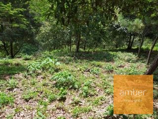 Terreno Acacias de Cayalá — Terreno en Venta en Acacias de Cayalá, Zona 16, Guatemala, Ciudad — miniatura 5 de 5