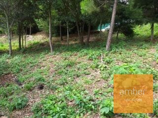 Terreno Acacias de Cayalá — Terreno en Venta en Acacias de Cayalá, Zona 16, Guatemala, Ciudad — miniatura 4 de 5