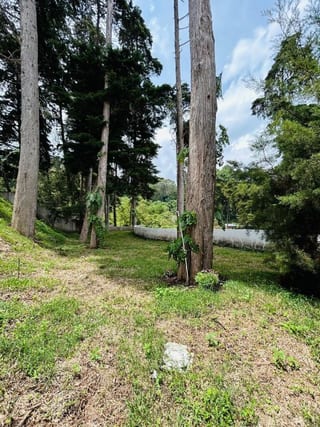 Casa en venta en Carretera a El Salvador km 12.5 El Socorro — Casa en Venta en El Socorro, Carretera a El Salvador, Guatemala, Ciudad — miniatura 5 de 16