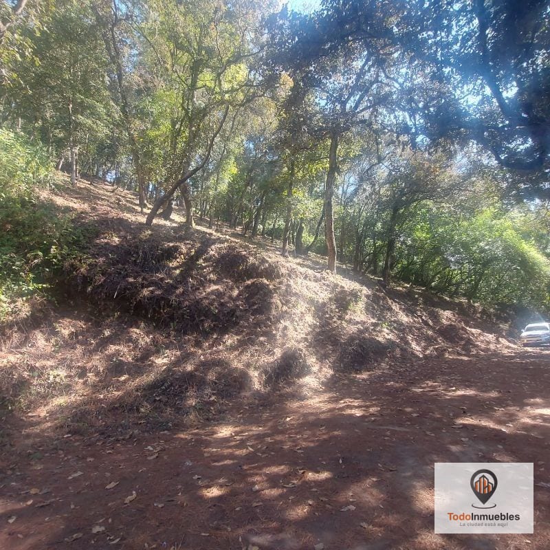 Terreno en Venta en El Encinal Tronco 10 — Terreno en Venta en El Encinal, Zona 7 Mixco, Guatemala, Ciudad — foto 3 de 4