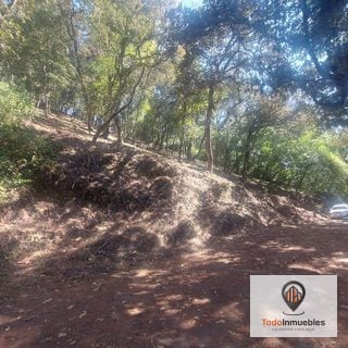 Terreno en Venta en El Encinal Tronco 10 — Terreno en Venta en El Encinal, Zona 7 Mixco, Guatemala, Ciudad — miniatura 3 de 4