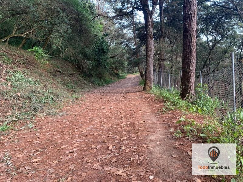 Terreno en Venta en El Encinal Tronco 10 — Terreno en Venta en El Encinal, Zona 7 Mixco, Guatemala, Ciudad — foto 1 de 4