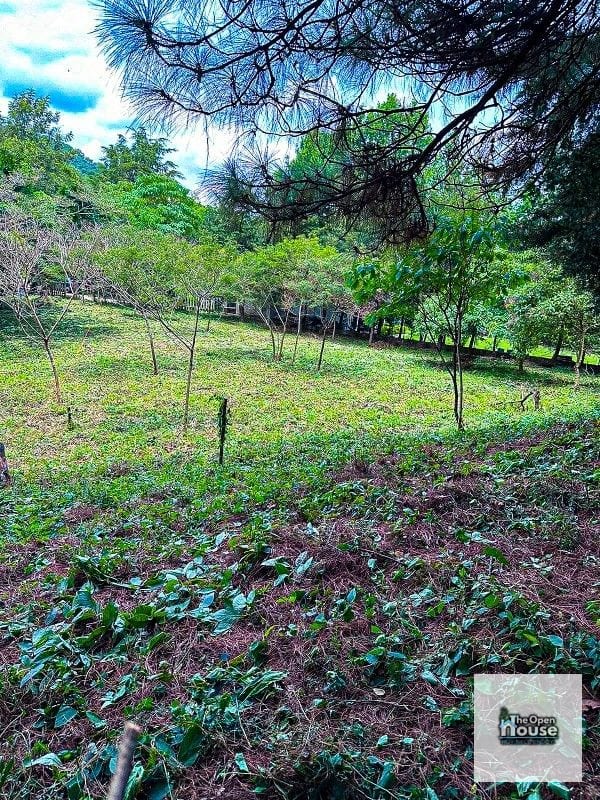 Terrenos en venta en Granjas el Paraiso Fraijanes Guatemala — Terreno en Venta en Guatemala, Ciudad — foto 4 de 7