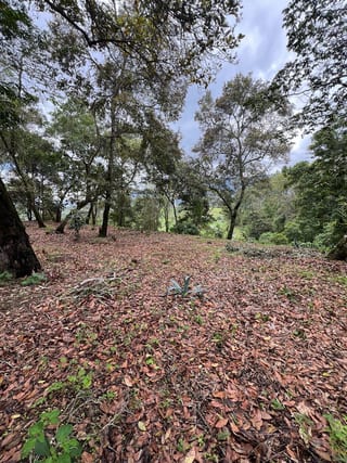 Vendo terreno Pulté Golf — Terreno en Venta en El Pulté, Zona 16, Guatemala, Ciudad — miniatura 4 de 7