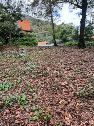 Vendo terreno Pulté Golf — Terreno en Venta en El Pulté, Zona 16, Guatemala, Ciudad — miniatura 1 de 7