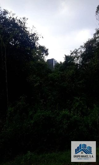 Vendo Terreno en Fraijanes Carretera a el Salvador — Terreno en Venta en Fraijanes, Carretera a El Salvador, Guatemala, Ciudad — miniatura 8 de 13