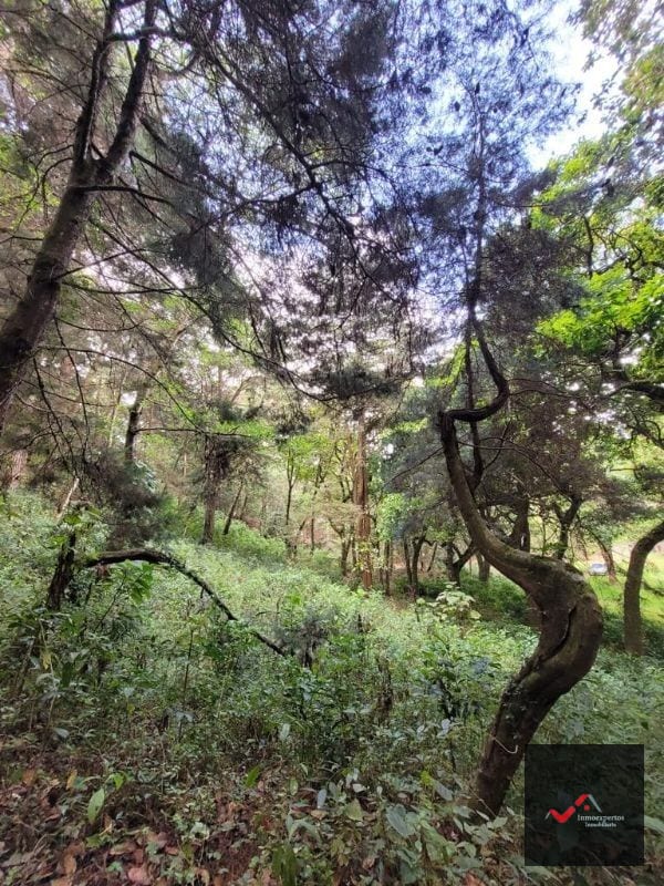 TERRENO EN VENTA SAN LUCAS, SACATEPEQUEZ  — Terreno en Venta en San Lucas Sacatepéquez, Sacatepéquez — foto 6 de 12