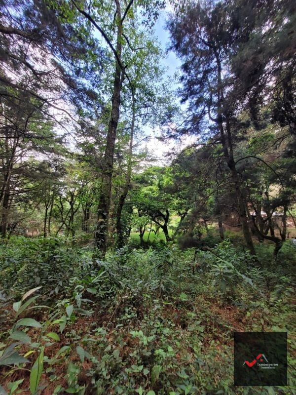 TERRENO EN VENTA SAN LUCAS, SACATEPEQUEZ  — Terreno en Venta en San Lucas Sacatepéquez, Sacatepéquez — foto 4 de 12