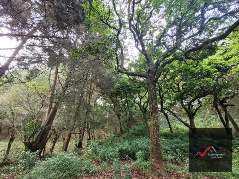 TERRENO EN VENTA SAN LUCAS, SACATEPEQUEZ  — Terreno en Venta en San Lucas Sacatepéquez, Sacatepéquez — foto 9 de 12