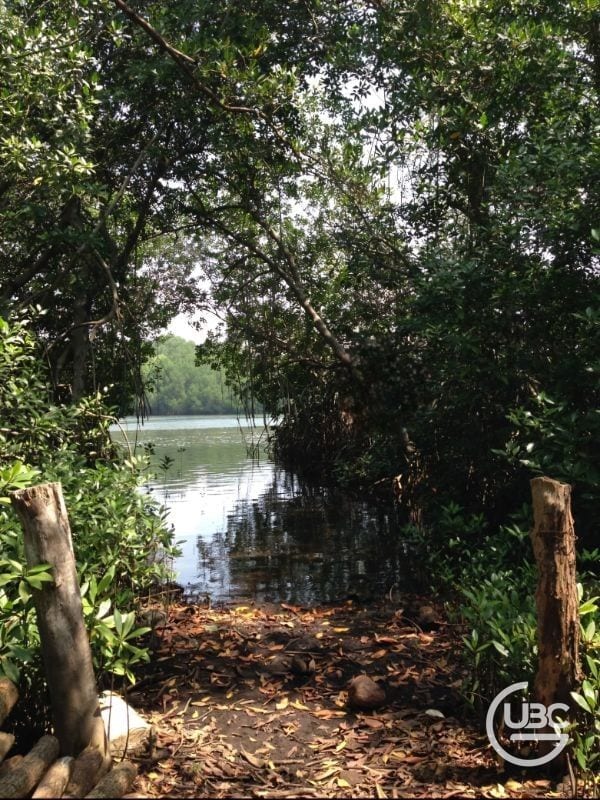 Terreno en venta en El Paredón Escuintla  — Terreno en Venta en El Paredón, Escuintla — foto 4 de 4