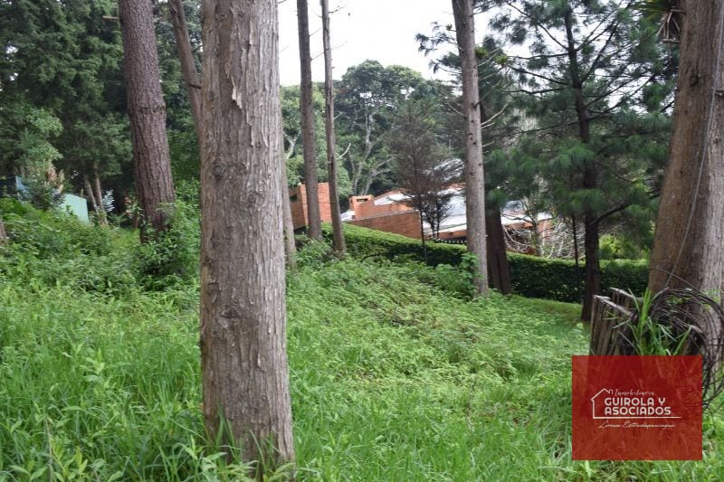 Terreno en Venta en Santa Rosalia la Laguna 074TVSTD — Terreno en Venta en Santa Rosalia La Laguna, Carretera a El Salvador, Guatemala, Ciudad — foto 7 de 10