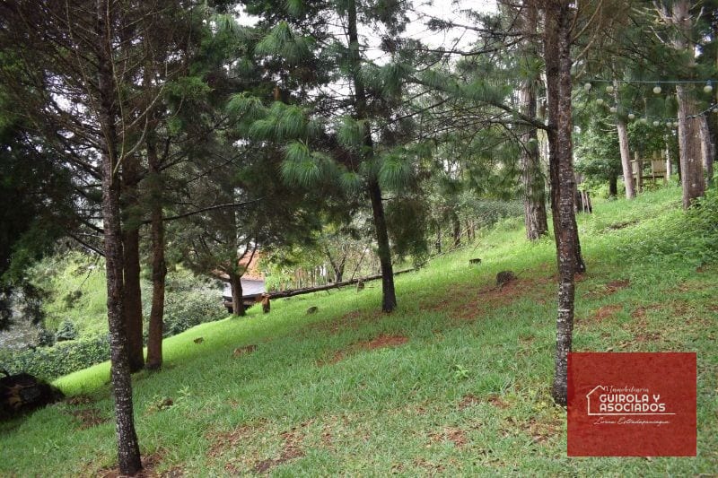 Terreno en Venta en Santa Rosalia la Laguna 074TVSTD — Terreno en Venta en Santa Rosalia La Laguna, Carretera a El Salvador, Guatemala, Ciudad — foto 6 de 10