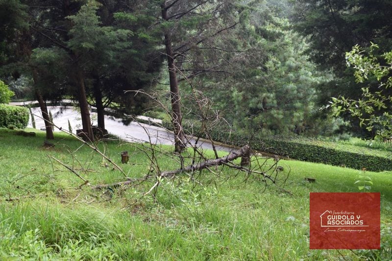 Terreno en Venta en Santa Rosalia la Laguna 074TVSTD — Terreno en Venta en Santa Rosalia La Laguna, Carretera a El Salvador, Guatemala, Ciudad — foto 5 de 10
