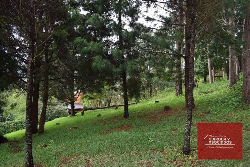 Terreno en Venta en Santa Rosalia la Laguna 074TVSTD — Terreno en Venta en Santa Rosalia La Laguna, Carretera a El Salvador, Guatemala, Ciudad — foto 4 de 10