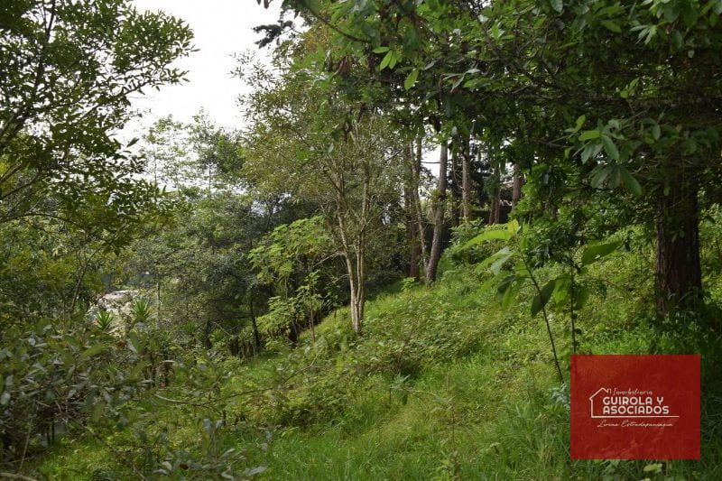 Terreno en Venta en Santa Rosalia la Laguna 074TVSTD — Terreno en Venta en Santa Rosalia La Laguna, Carretera a El Salvador, Guatemala, Ciudad — foto 8 de 10