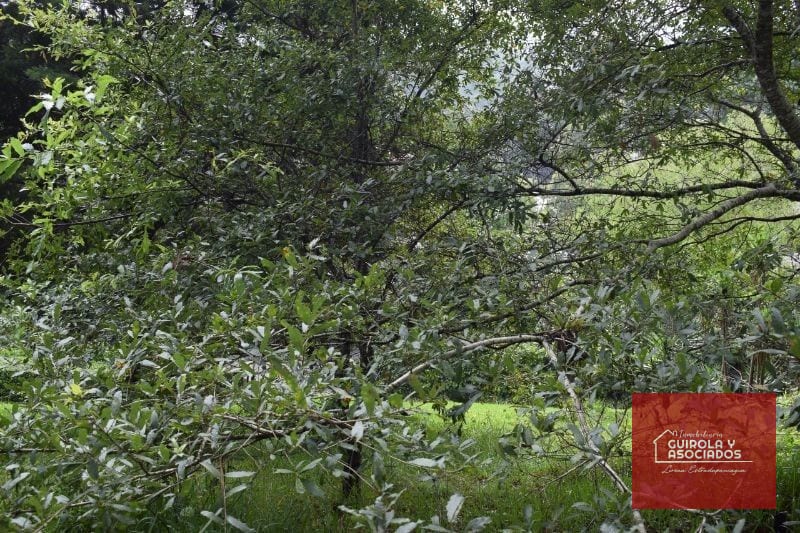Terreno en Venta en Santa Rosalia la Laguna 074TVSTD — Terreno en Venta en Santa Rosalia La Laguna, Carretera a El Salvador, Guatemala, Ciudad — foto 9 de 10