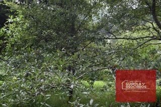 Terreno en Venta en Santa Rosalia la Laguna 074TVSTD — Terreno en Venta en Santa Rosalia La Laguna, Carretera a El Salvador, Guatemala, Ciudad — miniatura 9 de 10