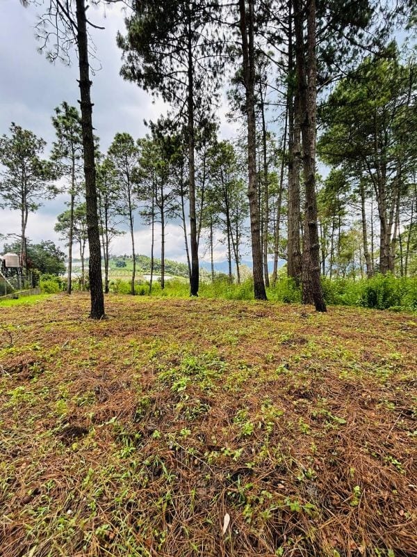 TERRENO EN VENTA EN HACIENDA LAS LLANURAS SUMPANGO — Terreno en Venta en Sumpango, Sacatepéquez — foto 10 de 12