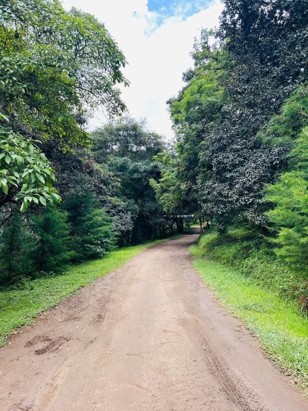 TERRENO EN VENTA EN HACIENDA LAS LLANURAS SUMPANGO — Terreno en Venta en Sumpango, Sacatepéquez — foto 5 de 12