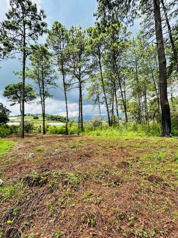 TERRENO EN VENTA EN HACIENDA LAS LLANURAS SUMPANGO — Terreno en Venta en Sumpango, Sacatepéquez — foto 12 de 12