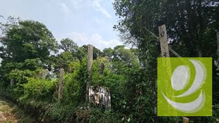 TERRENO DE 2 MANZANAS EN VENTA SANTA ELENA BARILLAS — Terreno en Venta en Santa Elena Barillas, Guatemala, Ciudad — miniatura 3 de 5