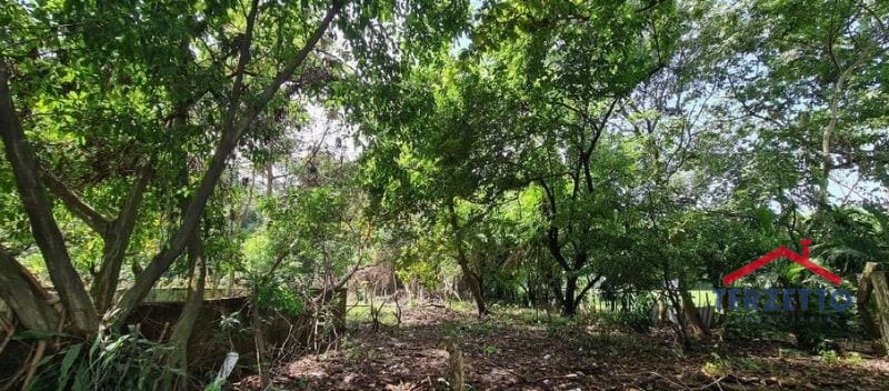 Km 64.5 Carretera Siquinala Escuintla — Terreno en Venta en Siquinalá, Escuintla — foto 2 de 8
