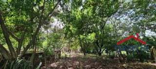 Km 64.5 Carretera Siquinala Escuintla — Terreno en Venta en Siquinalá, Escuintla — miniatura 2 de 8