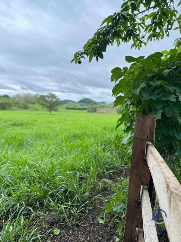 Se vende Finca en La Libertad - Petén - Guatemala — Finca en Venta en La Libertad, Petén — foto 10 de 11