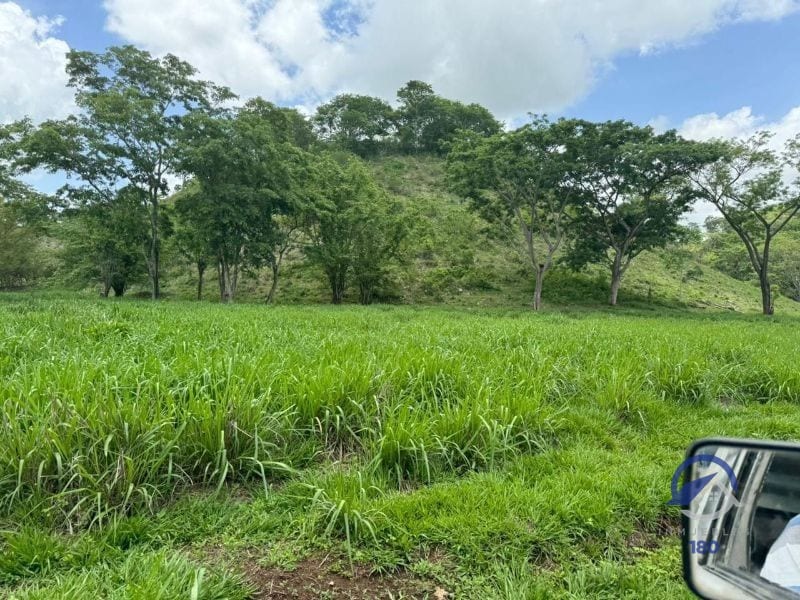 Se vende Finca en La Libertad -  Petén - Guatemala — Finca en Venta en La Libertad, Petén — foto 2 de 11