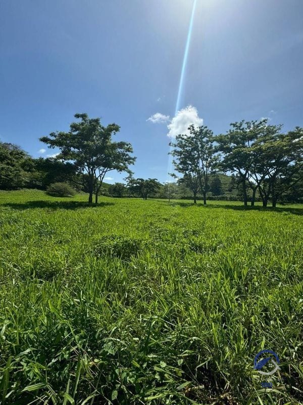 Se vende Finca en La Libertad - Petén - Guatemala — Finca en Venta en La Libertad, Petén — foto 1 de 11