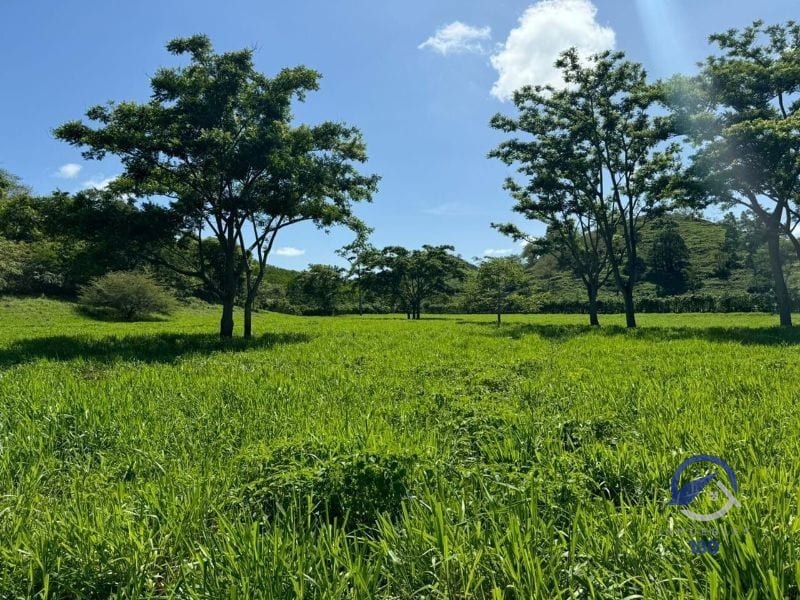 Se vende Finca en La Libertad - Petén - Guatemala — Finca en Venta en La Libertad, Petén — foto 6 de 11