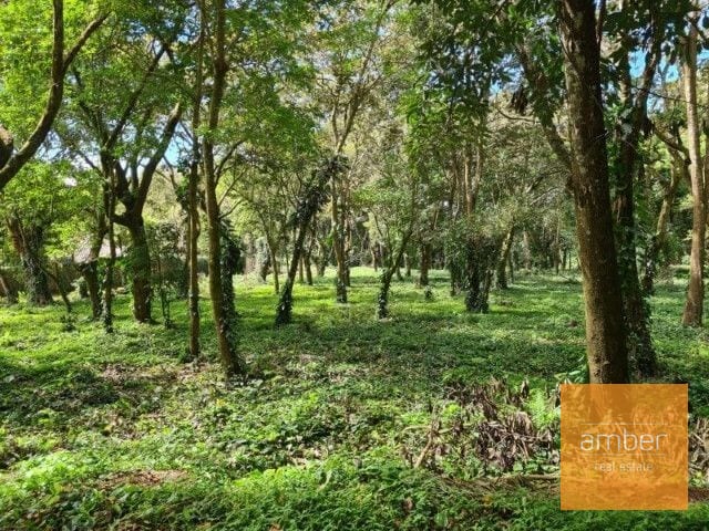 Terreno en Premiere Campestre — Terreno en Venta en Premier Campestre, Carretera a El Salvador, Guatemala, Ciudad — foto 1 de 2