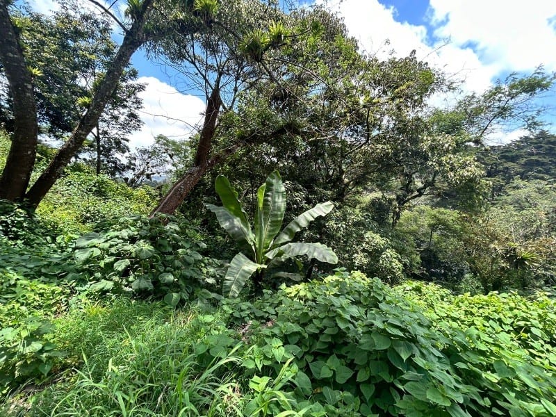Terreno en Venta Vistalvalle km 9 CES — Terreno en Venta en Carretera a El Salvador, Guatemala, Ciudad — foto 1 de 4