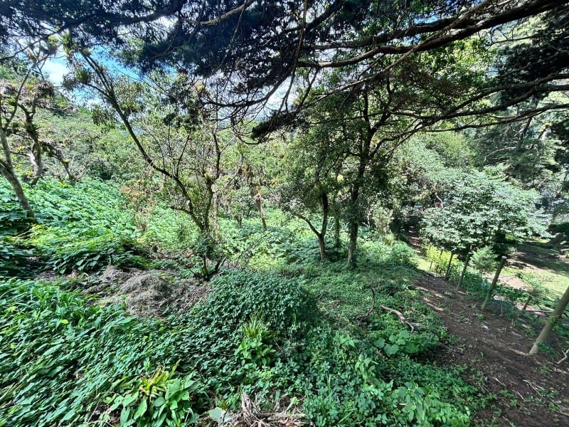 Terreno en venta Vistalvalle km 9 CAES — Terreno en Venta en Carretera a El Salvador, Guatemala, Ciudad — foto 1 de 4