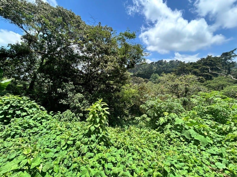 Terreno en Venta Vistalvalle km 9 CES — Terreno en Venta en Carretera a El Salvador, Guatemala, Ciudad — foto 2 de 4