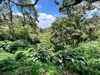 Terreno en venta Vistalvalle km 9 CAES — Terreno en Venta en Carretera a El Salvador, Guatemala, Ciudad — miniatura 2 de 5