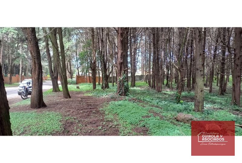 Terreno en Venta en el KM 21 Carretera el Salvador 008TVCD — Terreno en Venta en Premier Campestre, Carretera a El Salvador, Guatemala, Ciudad — foto 3 de 10